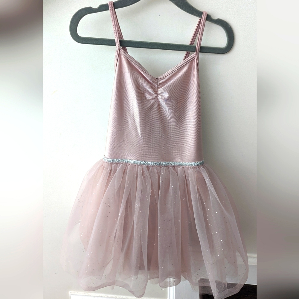 H&M Tulle Skirt Leotard